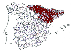 Luciobarbus (Barbus) graellsii_mapas.jpg
